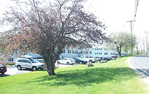 Green acres apartments thumbnail