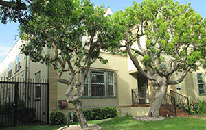 Hollywoodland apartments portfolio