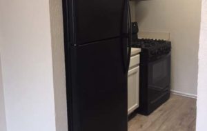 Renovated Kitchen