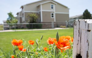 Denver gardens exterior with flowers low res